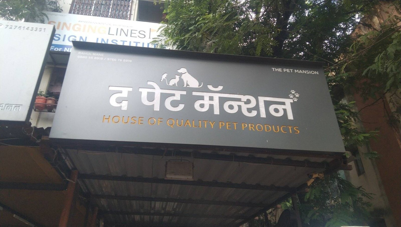 38846the-pet-mansion-tarabai-park-kol.jpg