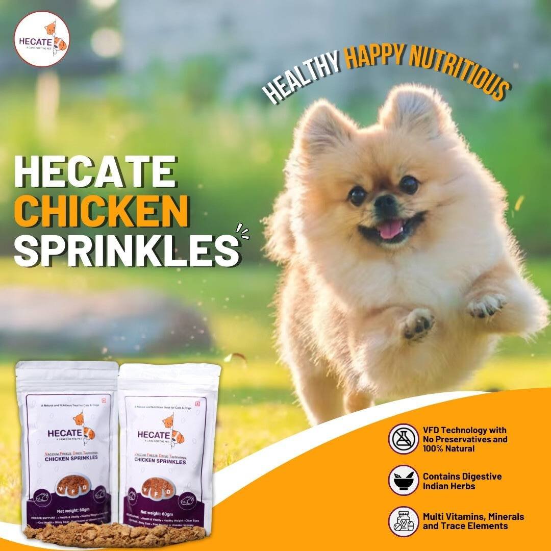 74497hecate-pet-care-unregistered-kuykiyi.jpg