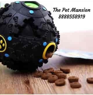 82060the-pet-mansion-tarabai-park-kol8.jpg