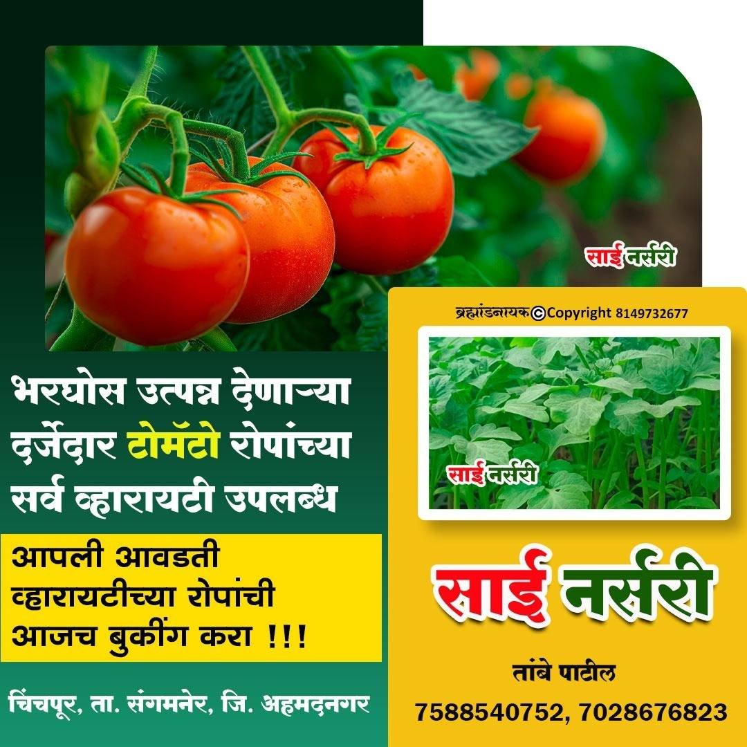 सर्व प्रकाराचे रोपी उपलब्ध