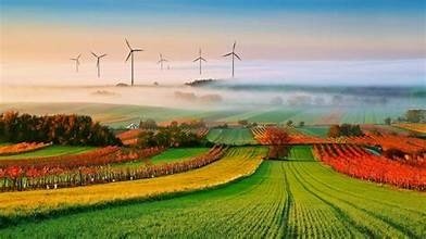 Agriculture 