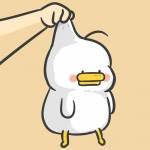 sean zhang profile picture